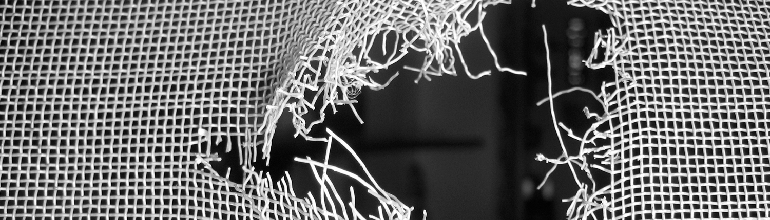 plisséhordeur, rolhorren, inklemhorren, inzethorren, rolhordeuren, raamrolhorren, voorzethorren, deurhorren, raamhorren, plisse raamhorren, schuifhordeuren, vaste hordeuren, vliegengordijnen, Vliegenramen, Vliegendeuren, Schuifvliegendeuren, Rolvliegenram