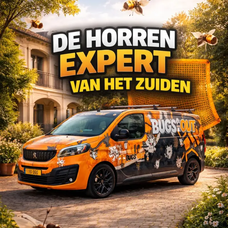 Horren Helmond, Horren Eindhoven, Horren Den Bosch