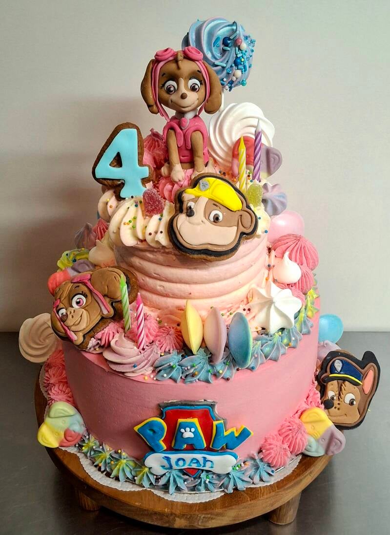 07-paw-patrol-candy-cake-standard.jpg
