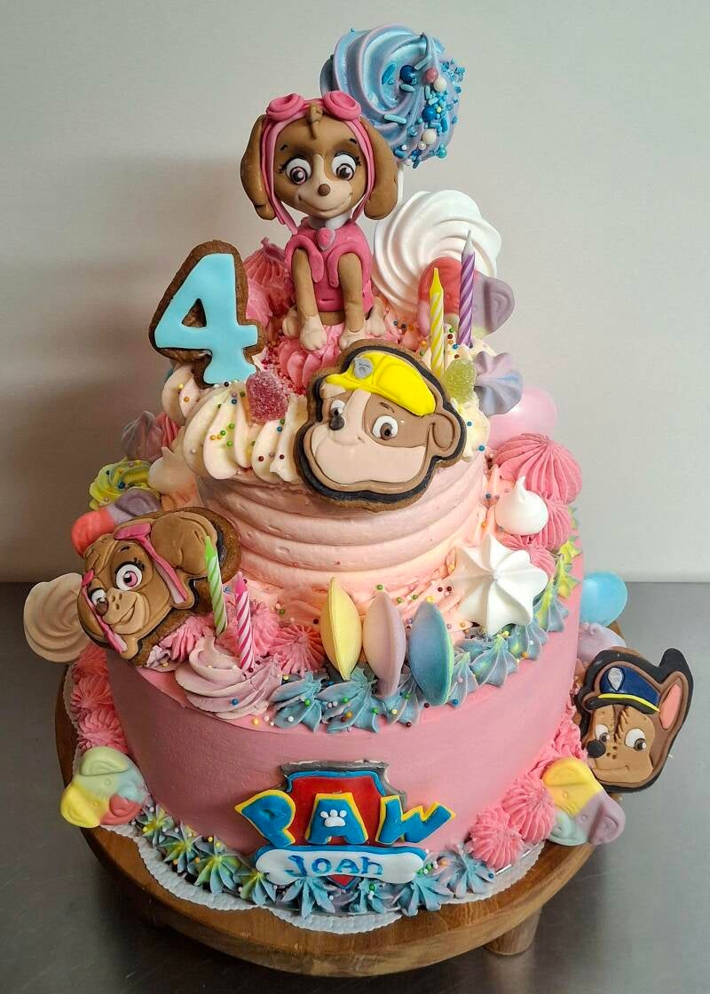 07-paw-patrol-taart-standard.jpg