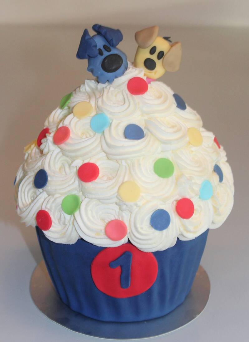 085-smash-cake-taart-woezel-en-pip-standard.jpg