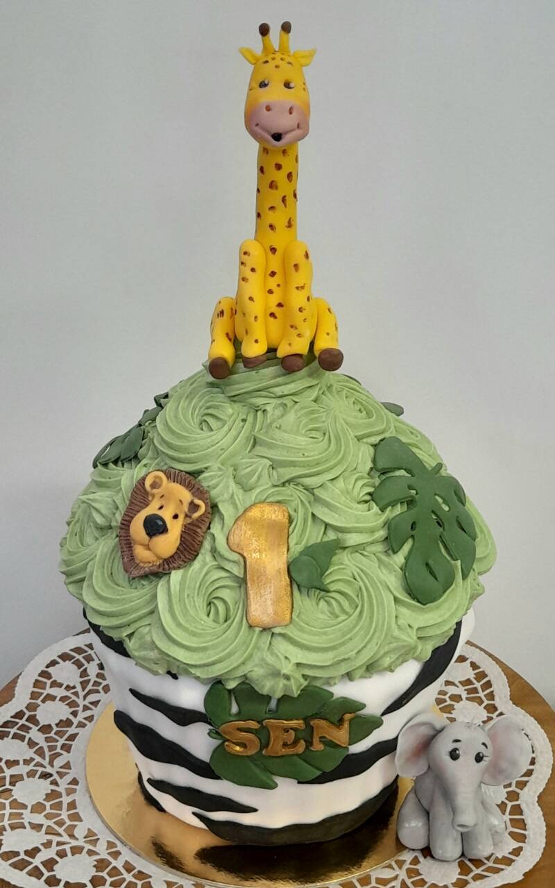 10-smash-cake-dieren-standard.jpg