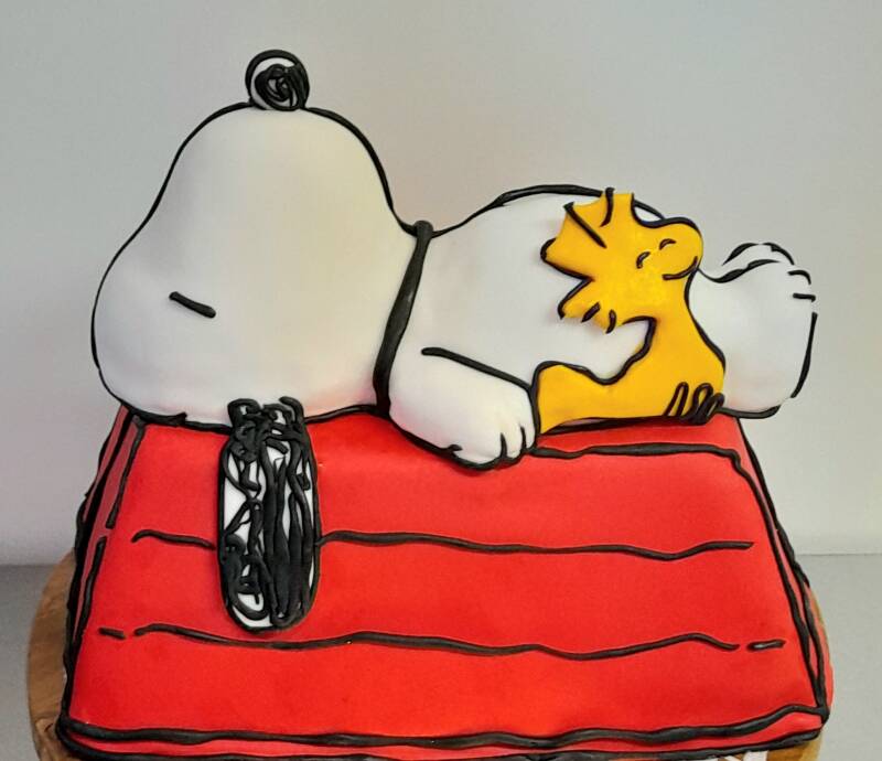 18cartooncakesnoopy.jpg