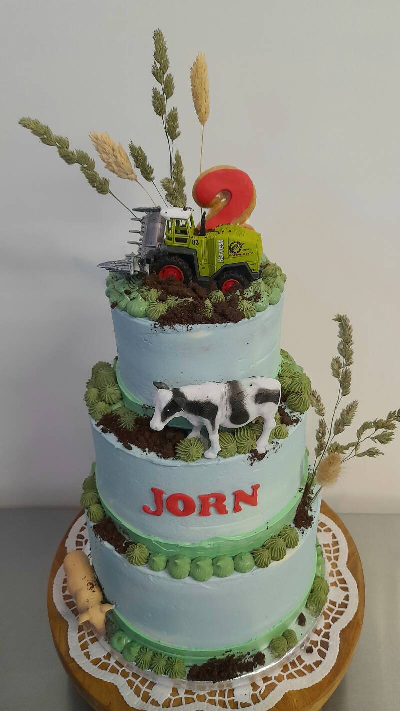 34boerderijtractortaart.jpg
