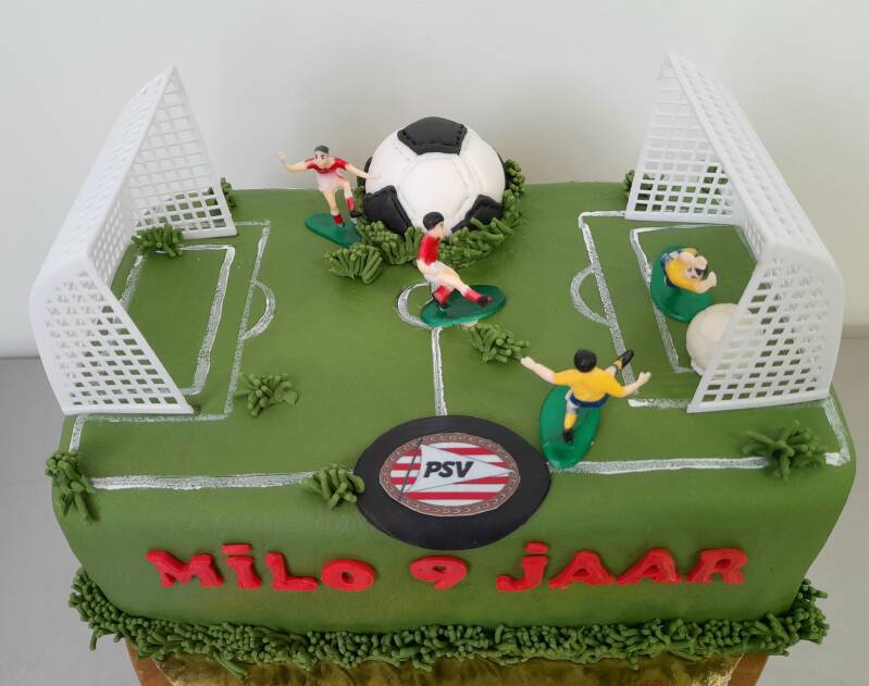 37voetbalveldtaart.jpg