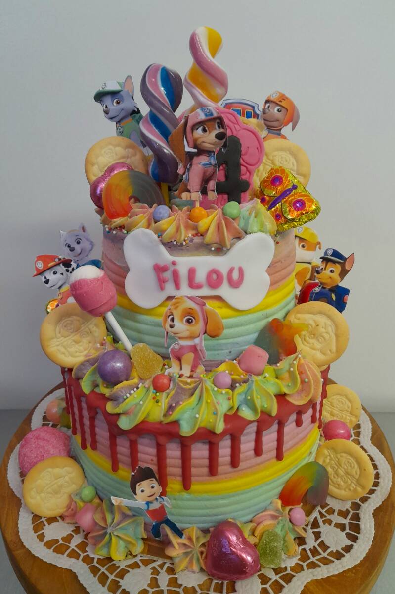 45pawpatrolcanycake.jpg