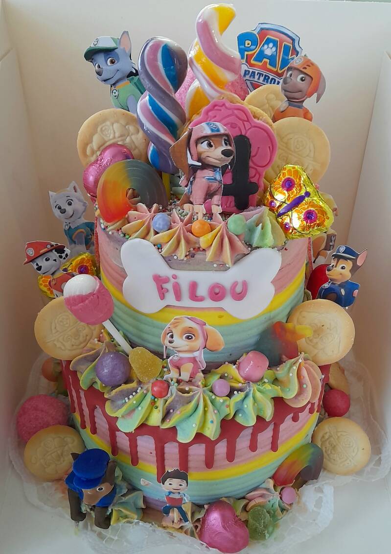 45pawpatroltaarta.jpg