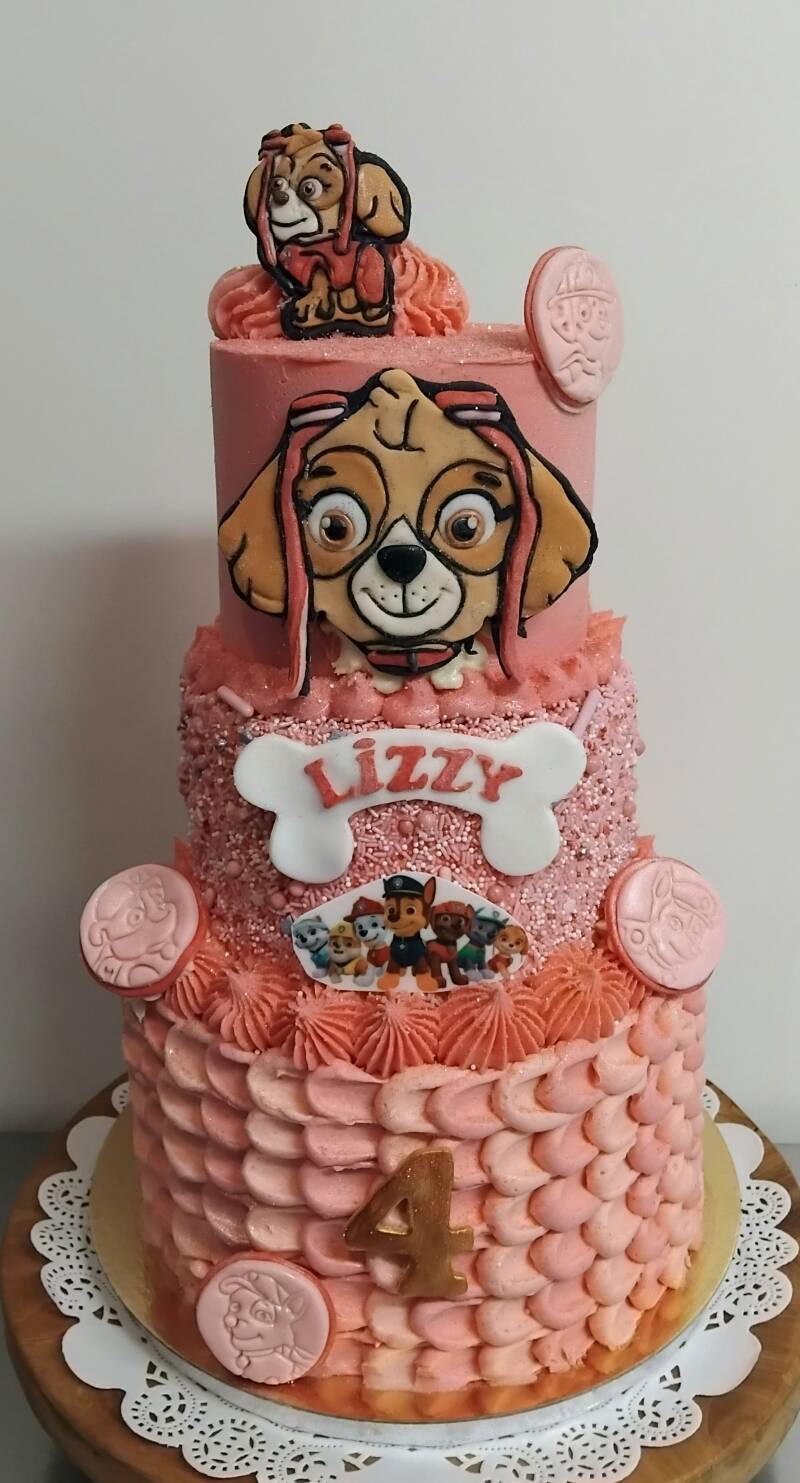 74-paw-patrol-taart-skye-standard.jpg