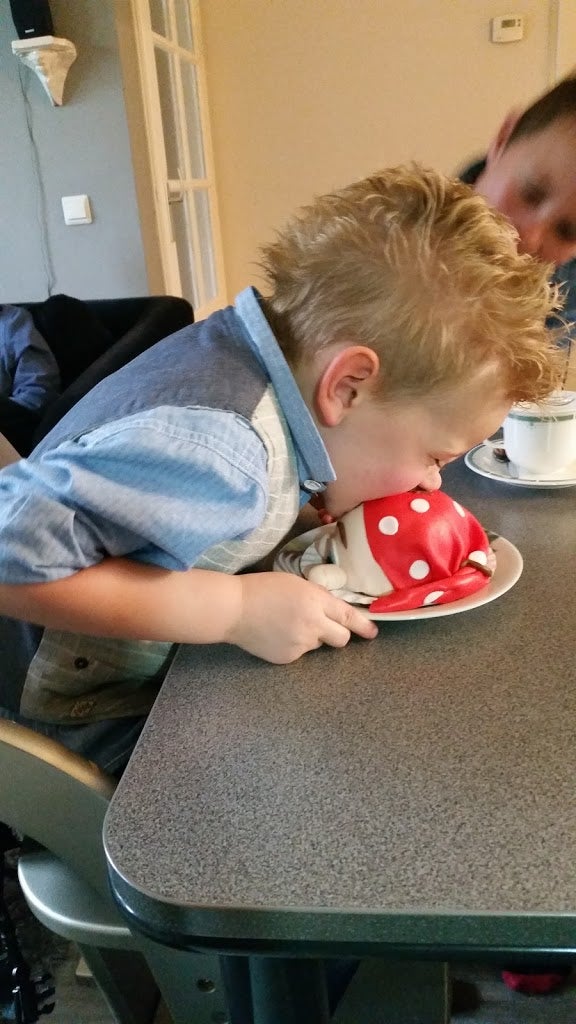 266- Knoeitaartje.jpg