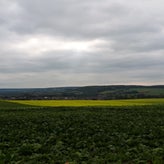 20191005_151751.jpg