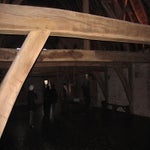 IMG_5135.jpg