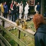 scannen0005.jpg