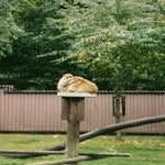 scannen0006.jpg