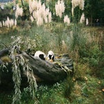 scannen0007a.jpg