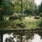 scannen0008.jpg