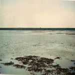 scannen0006 1990.jpg