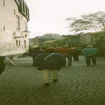 scannen0011.jpg