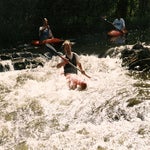 scannen0011.jpg