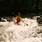 scannen0011a.jpg