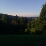 IMAG0504.jpg