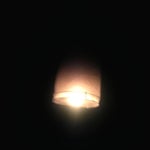 Foto0091.jpg