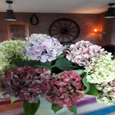 20191004_164126.jpg