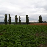 20191005_151245.jpg