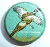 p1360264-standard-standard.jpg