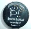 p1370831-standard.jpg