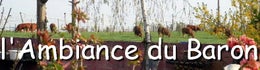 Ambiance-du-baron