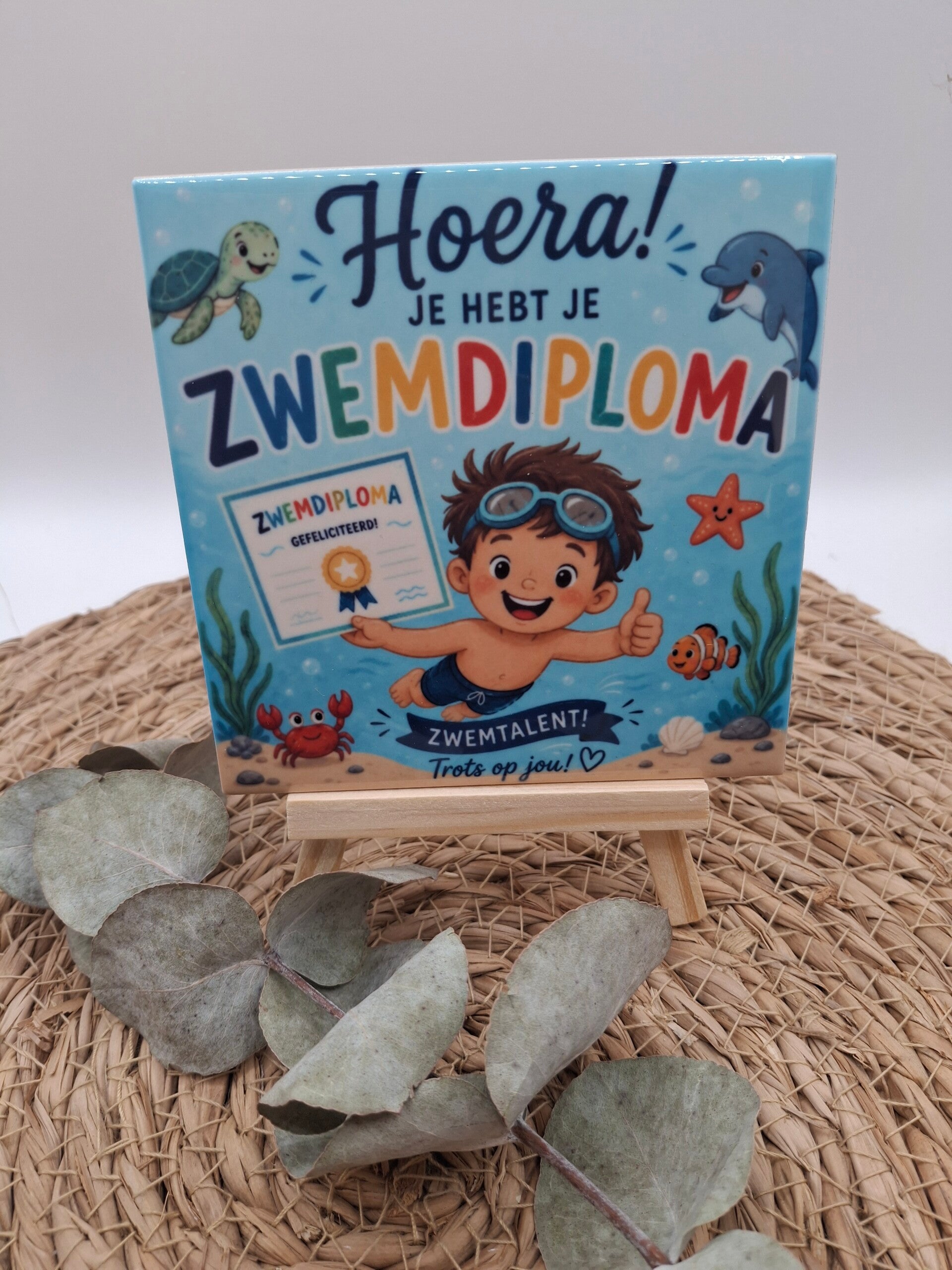 Tegeltje zwemdiploma jongen