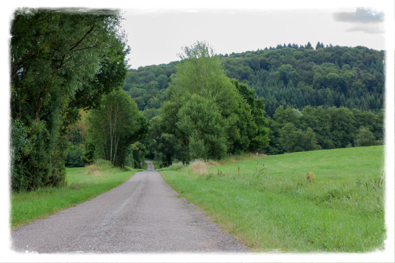 De omgeving van B&B in Lenizeul