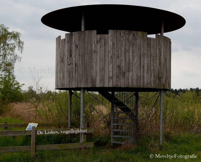 liskes vogelkijkhut 