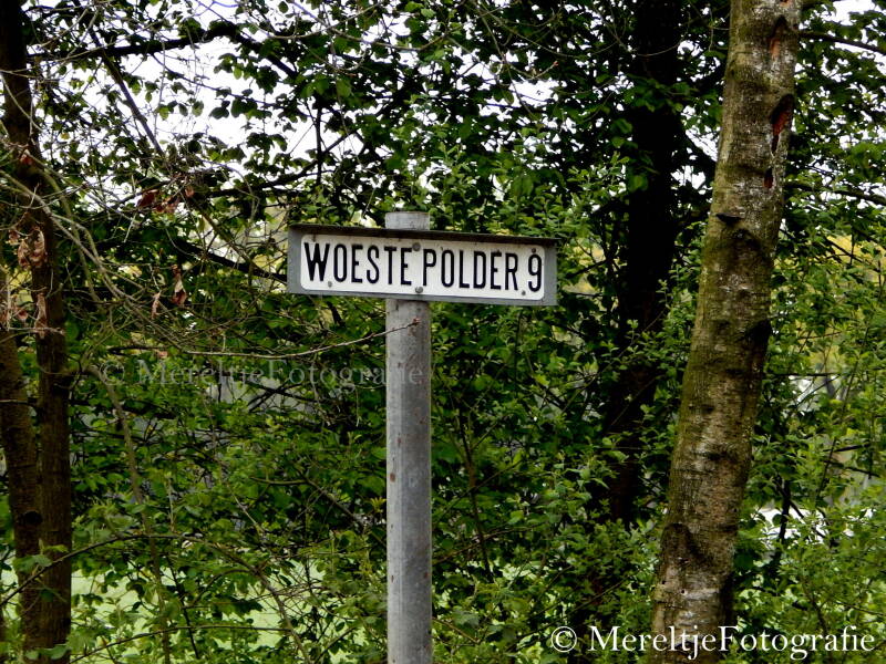 woeste polder