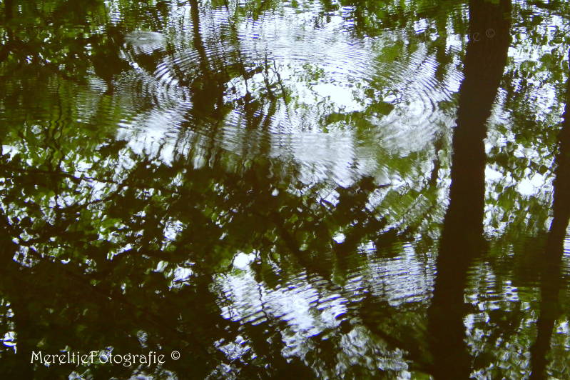 regenkringen in de plas