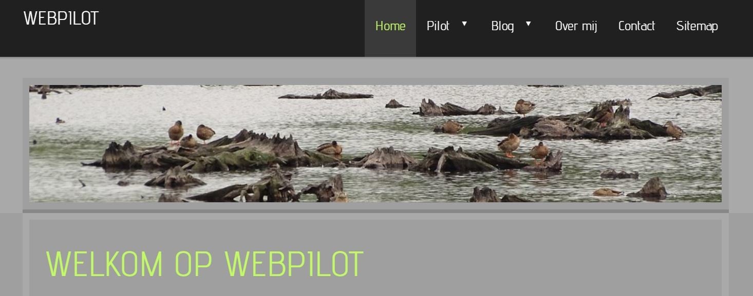Webpilot