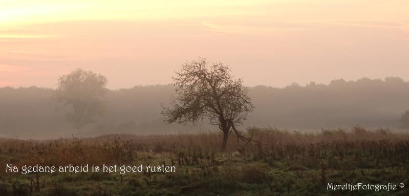 na gedane arbeid is het goed rusten 