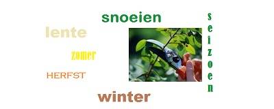 snoeien