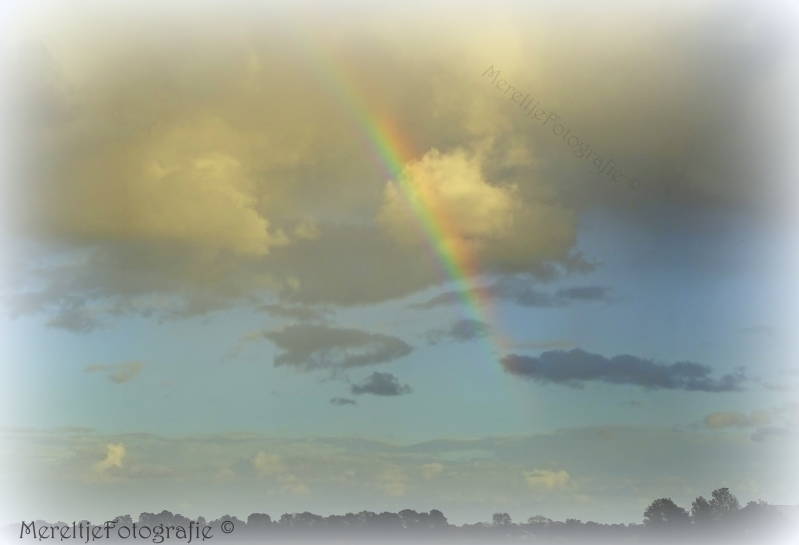regenboog
