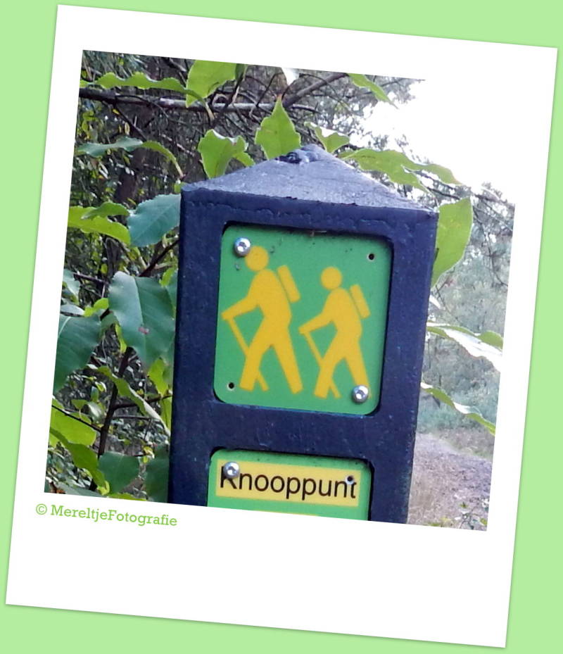 wandelknooppunt