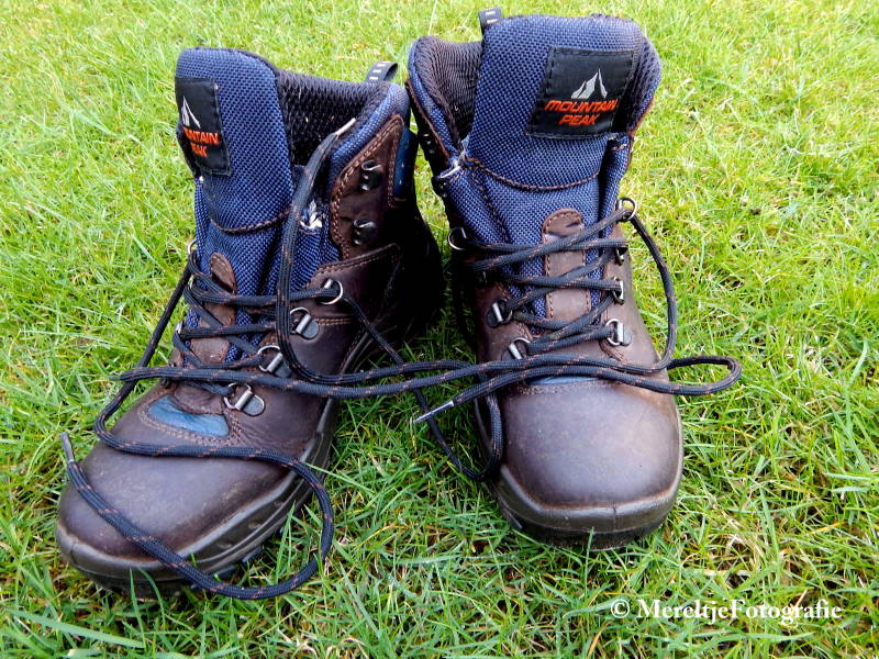 wandelschoenen