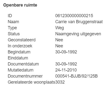 BAG carrie van bruggenstraat