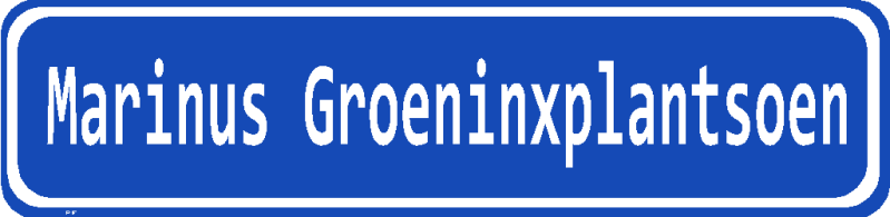 marinus groeninxplantsoen