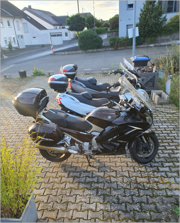 Brommer in fell