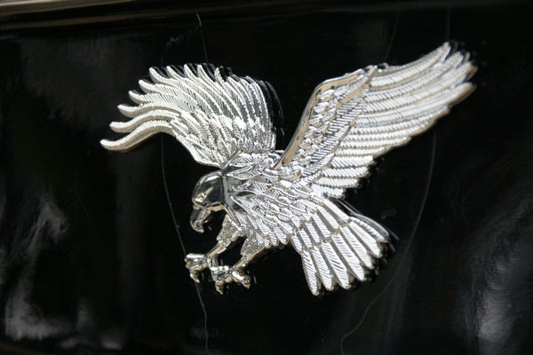 evdl038-standard-219ljz.jpg