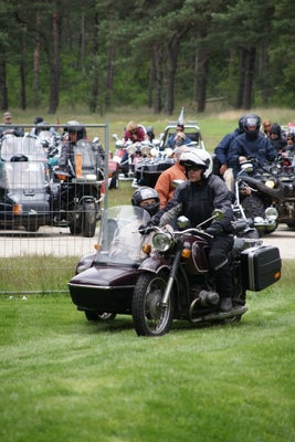 evdl090-standard-2jivqj.jpg