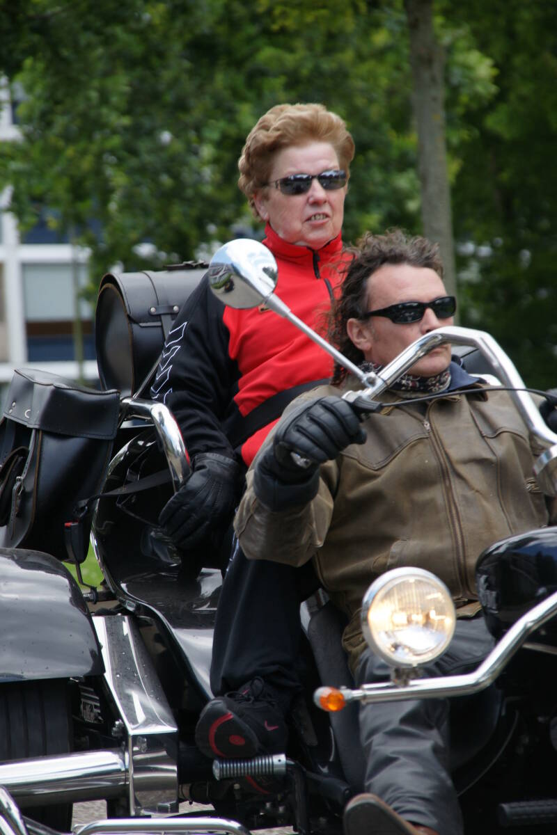 evdl183-standard.jpg