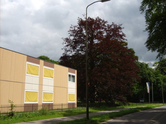 ik034-standard-jjduc7.jpg