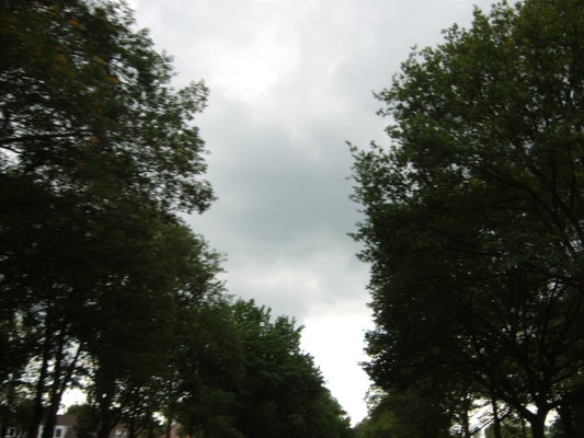 ik041-standard-4ajwr1.jpg