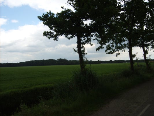 ik044-standard-92mrjx.jpg